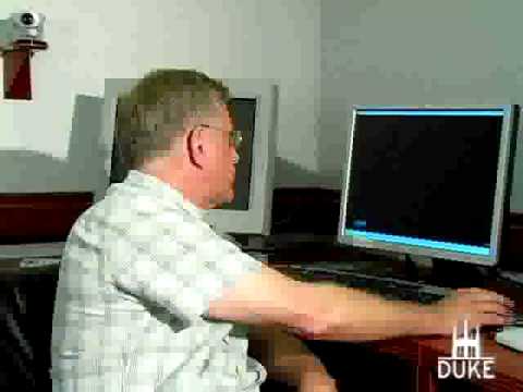 Inside a Mouse Brain
