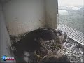 S2 Brings Supper a Week After Mother\