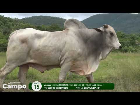 1 De Olho na Fazenda SELEO DO CAMPO