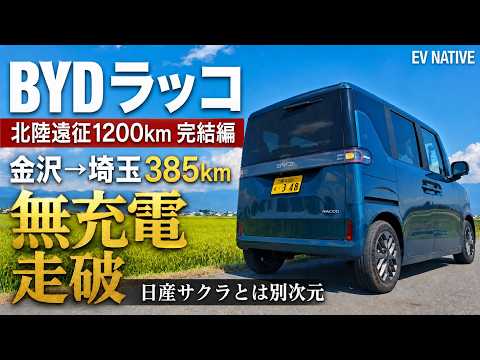 比亞迪「海獺」登陸日本！首款純電 K-Car RACCO 搶佔都市通勤市場