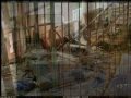 Chateau d'Ex.wmv