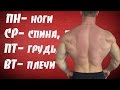 шестидневная программа тренировок на набор мышечной массы шестидневная программа тренировок на набор мышечной массы