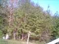 My New Car.....:):) Forrest Gump Cutting the Grass My New Car.....:):) Forrest Gump Cutting the Grass