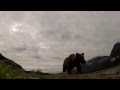 A GRIZZLY ATE MY GOPRO, WITH AUDIO!!!!! GoPro HD, Brad josephs