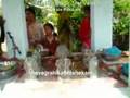 videos de navagraha abhishekam
