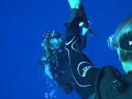 Blue Water Buoy Dive