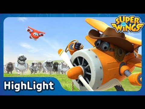Round up the sheep