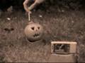 Larry The Exploding Grapefruit
