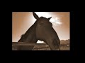 EPONA LIFE PART ONE EPONA LIFE PART ONE