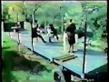 Tyrannosaurus Rex Stacy Grove Tyrannosaurus Rex Stacy Grove