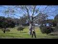 Nuke The Soup Yin And Yang Official Music Video and Lyrics