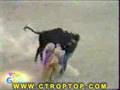 Dangerous Bull Attack