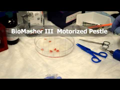 how to isolate organelles