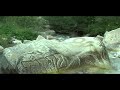 Tibetan Song Om Mani Padme hong