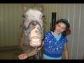 videos de Stillwater Stables