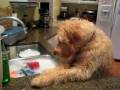 videos de to file 457.avi