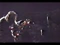 deathrow-scattered-by-the-wind.html