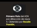 Siglo y medio de Gen�tica