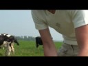 Op bezoek Op bezoek