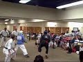 Pohlmann vs Lee, 2008 USKA Karate World Championships