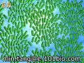 ecopower for hog and cow farms! Foul smell bye bye!