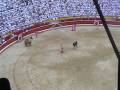 Picador down in the corrida Picador down in the corrida