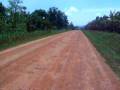 videos de Uganda 167.MOV