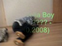 Solja Boy RIP 2008