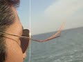 las profundidades del mar muerto