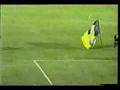 �ampiyon fenerbah�e 2006-2007 kutlamalar2