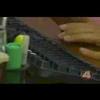 Fox4 News - Mangosteen Story Fox4 News - Mangosteen Story