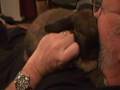 Lop Hops on Pop