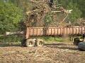 86168331_43388d3221_orig.mov
