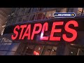 Watch 'EXCLUSIVE: David Arquette Staples 110510 YT'
