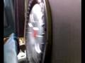 kicker cvt treen six mafia