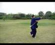 陳式太極 春秋大刀 Taiji Chen style Spring-Autumn Long Broadsword