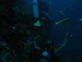 Balicasag Barracudas ?????