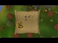 Cape Licker's elite clue hunting  35 elites 100mill+ rewards