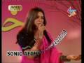 videos de afridi bawani