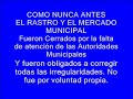TU GOBIERNO MUNICIPAL