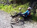 retorcido como una anguila