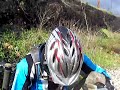 retorcido como una anguila
