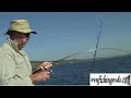 Off-Shore Fishing With Penfishingrods.com Catching Yellowtail Kingfish