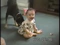 Nhung Clip hai hay nhat - tap 88