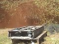 woodsball