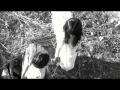 Ver Video