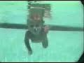 ISR Student Swimming