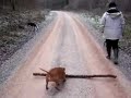 the big stick