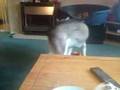 MOV00068.MP4
