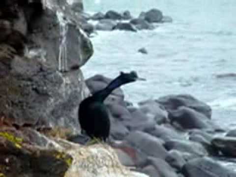 Alaska Land Surveyors Part 2